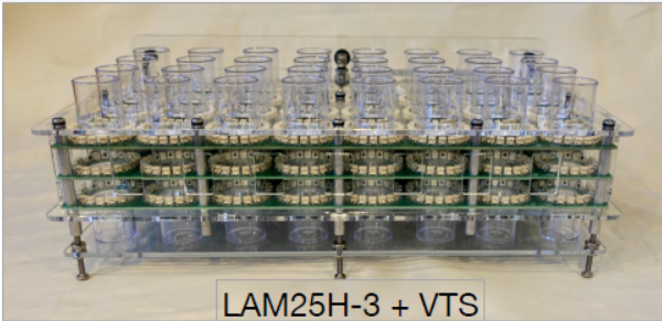 LAM25H.png