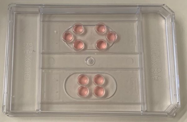XonaChips® 神经元细胞及组织培养芯片，硅胶设备及微流体设备用外壳及涂液
